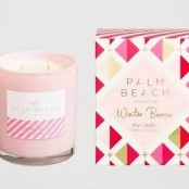 Palm Beach Christmas Collection